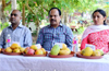 Mango, Jackfruit fest at Kadri Park from May 19